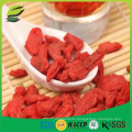 Estándar de la UE China Fresco seco Goji Berry